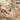 Camouflage jacket chest pocket flap with snap buttons and riveted badge