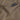 Khaki combat pants fabric close-up with Pentagon branding label