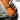 Open compound bow bag with orange lining and bow stored in inner compartment