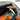 Open bow bag interior with mesh pocket, gray padding, and orange lining