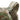 Multicam plate carrier shoulder strap with loop panel and padded side seam
