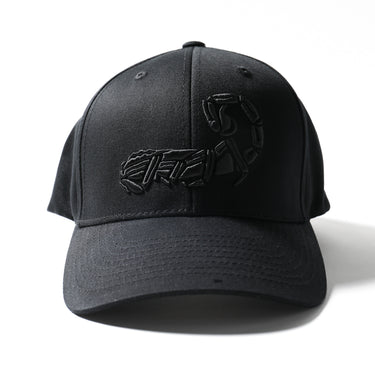 Black logo cap with embroidered emblem on front; curved brim, six-panel design