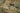 Agilite patch on Multicam plate carrier front panel