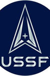 US Military USSF United States Space Force LOGO (1") Pin