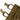 Triple MOLLE magazine pouch close-up of tan retention loops and top hook detail