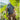 40L black backpack worn by hiker with front pocket and padded shoulder straps