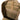 Coyote tan MODI 15L backpack interior close-up with organizer pocket, elastic loops, and zipper