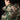 Woodland camouflage jacket back with stand collar and hood detail