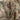 Camouflage shorts front with brass snaps and zip fly