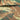 Camouflage waterproof parka fabric with PENTAGON logo patch on chest