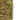 Camouflage pants side zipper pocket with metal pull and snap button