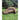 1-man beige tent with arched front opening and side window