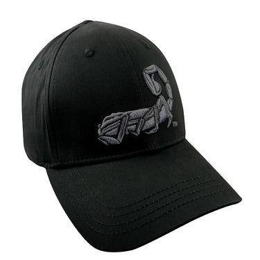 Black stretch-fit cap with embroidered logo on front panel