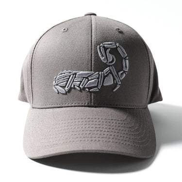 Grey logo cap with embroidered emblem on front; curved brim, six-panel construction