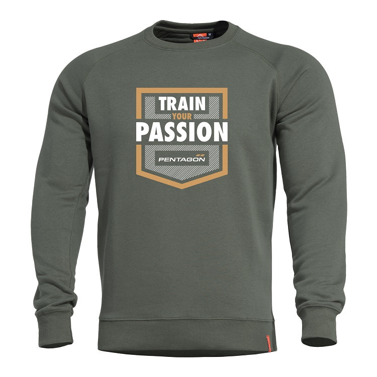 Pentagon Hawk Sweater (Train Passion)