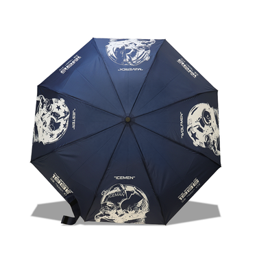 RTB "Mach 2.34" Naval Aviation Umbrella
