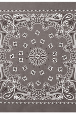 Rothco Trainmen Paisley Bandana