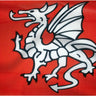 Polyester flag with red background and large white winged dragon emblem
