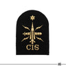 British Royal Navy Able Rate Communication Information Qualification Badge Medium (7103026888888)