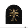British Royal Navy Basic Rate Communication Information Qualification Badge Medium (7103027151032)