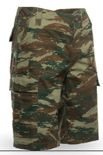 Pentagon BDU 2.0 Shorts (Greek Lizard Camo)