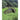 Sturm Recom 1-Man Tent Olive Drab