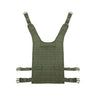 Warrior Assault Back Panel