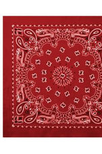 Rothco Trainmen Paisley Bandana